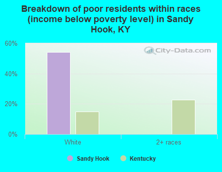 Breakdown of poor residents within races (income below poverty level) in Sandy Hook, KY