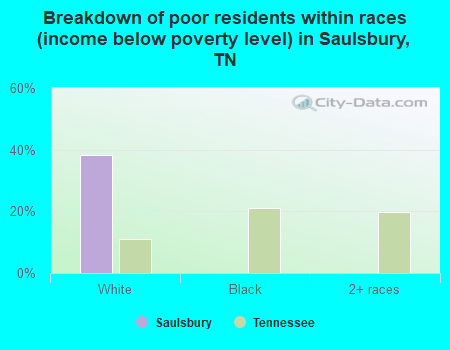 Breakdown of poor residents within races (income below poverty level) in Saulsbury, TN
