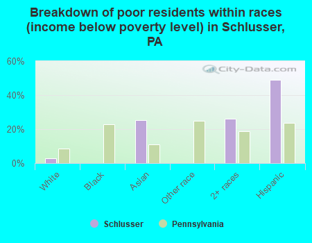 Breakdown of poor residents within races (income below poverty level) in Schlusser, PA
