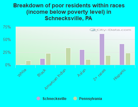 Breakdown of poor residents within races (income below poverty level) in Schnecksville, PA