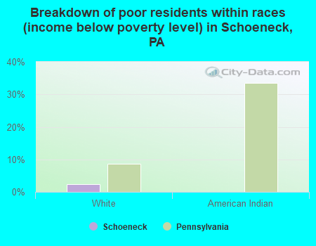 Breakdown of poor residents within races (income below poverty level) in Schoeneck, PA