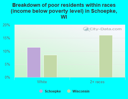 Breakdown of poor residents within races (income below poverty level) in Schoepke, WI