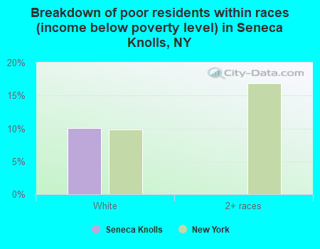 Breakdown of poor residents within races (income below poverty level) in Seneca Knolls, NY