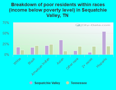 Breakdown of poor residents within races (income below poverty level) in Sequatchie Valley, TN