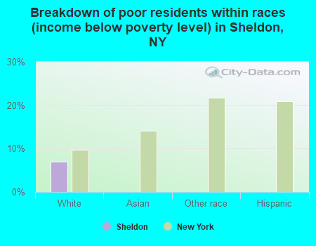 Breakdown of poor residents within races (income below poverty level) in Sheldon, NY