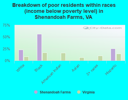 Breakdown of poor residents within races (income below poverty level) in Shenandoah Farms, VA
