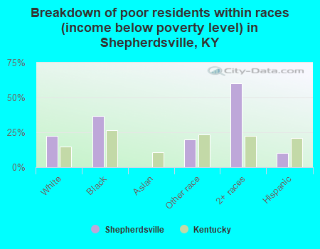 Breakdown of poor residents within races (income below poverty level) in Shepherdsville, KY