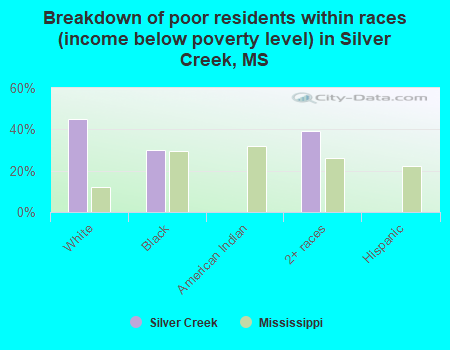 Breakdown of poor residents within races (income below poverty level) in Silver Creek, MS
