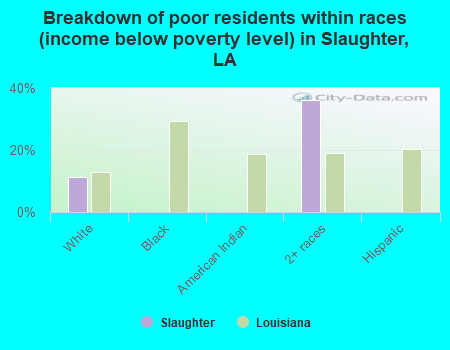 Breakdown of poor residents within races (income below poverty level) in Slaughter, LA