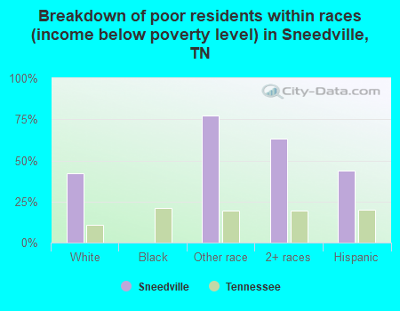 Breakdown of poor residents within races (income below poverty level) in Sneedville, TN