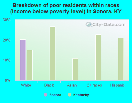 Breakdown of poor residents within races (income below poverty level) in Sonora, KY