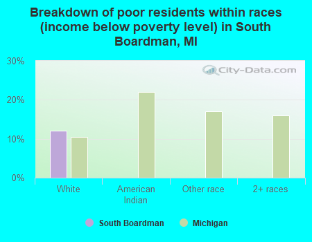 Breakdown of poor residents within races (income below poverty level) in South Boardman, MI