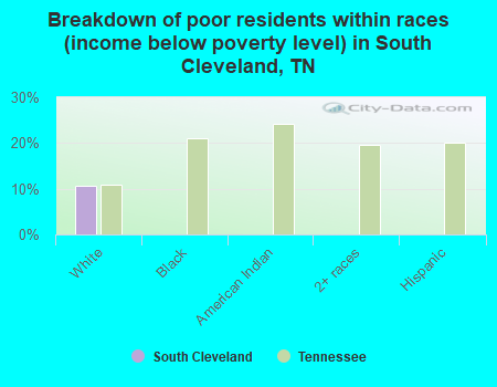 Breakdown of poor residents within races (income below poverty level) in South Cleveland, TN
