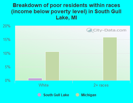 Breakdown of poor residents within races (income below poverty level) in South Gull Lake, MI