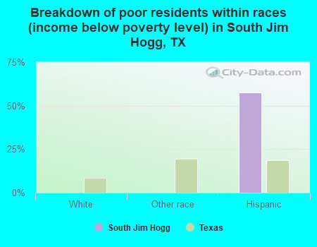 Breakdown of poor residents within races (income below poverty level) in South Jim Hogg, TX