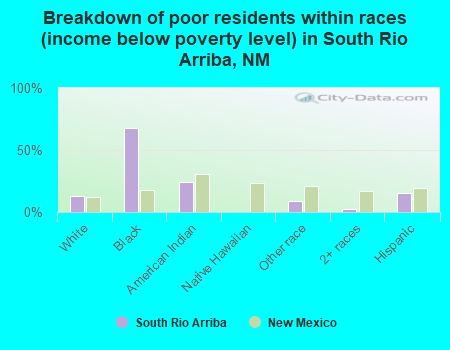 Breakdown of poor residents within races (income below poverty level) in South Rio Arriba, NM