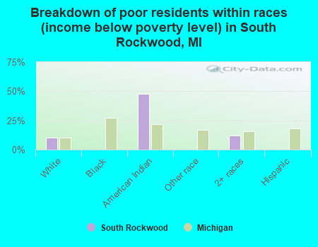 Breakdown of poor residents within races (income below poverty level) in South Rockwood, MI