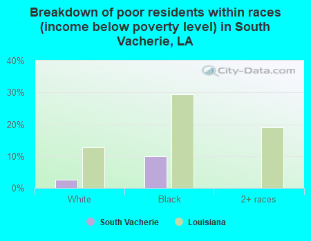 Breakdown of poor residents within races (income below poverty level) in South Vacherie, LA