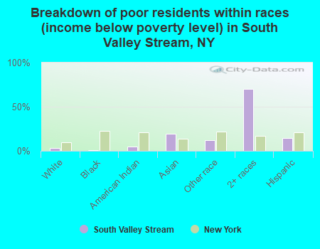 Breakdown of poor residents within races (income below poverty level) in South Valley Stream, NY