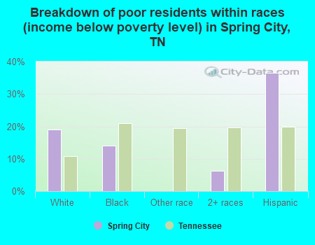 Breakdown of poor residents within races (income below poverty level) in Spring City, TN