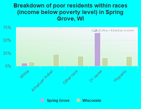 Breakdown of poor residents within races (income below poverty level) in Spring Grove, WI