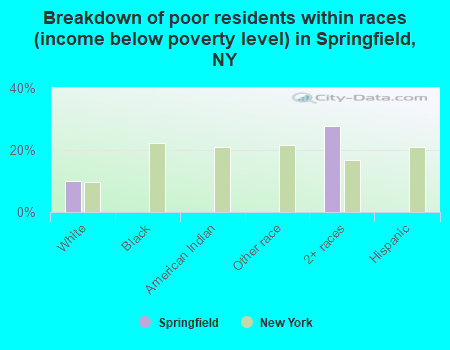 Breakdown of poor residents within races (income below poverty level) in Springfield, NY