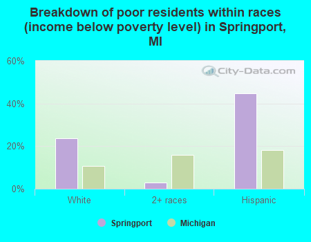 Breakdown of poor residents within races (income below poverty level) in Springport, MI