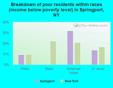 Breakdown of poor residents within races (income below poverty level) in Springport, NY