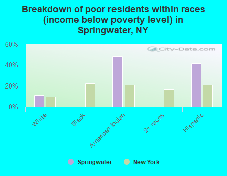 Breakdown of poor residents within races (income below poverty level) in Springwater, NY