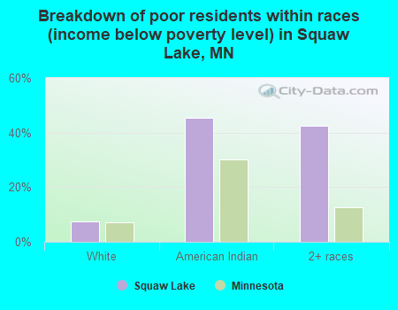 Breakdown of poor residents within races (income below poverty level) in Squaw Lake, MN