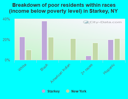 Breakdown of poor residents within races (income below poverty level) in Starkey, NY