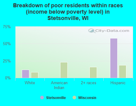Breakdown of poor residents within races (income below poverty level) in Stetsonville, WI