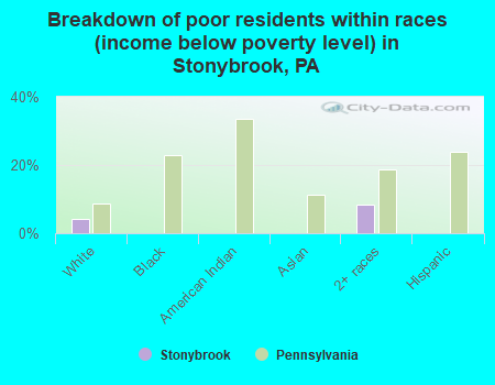 Breakdown of poor residents within races (income below poverty level) in Stonybrook, PA