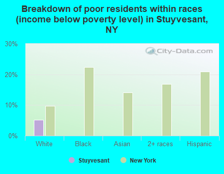 Breakdown of poor residents within races (income below poverty level) in Stuyvesant, NY