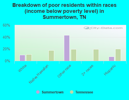 Breakdown of poor residents within races (income below poverty level) in Summertown, TN