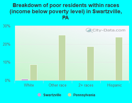 Breakdown of poor residents within races (income below poverty level) in Swartzville, PA