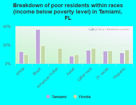 Breakdown of poor residents within races (income below poverty level) in Tamiami, FL