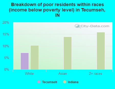 Breakdown of poor residents within races (income below poverty level) in Tecumseh, IN