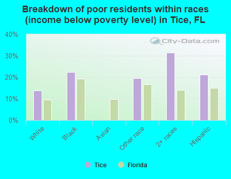 Breakdown of poor residents within races (income below poverty level) in Tice, FL
