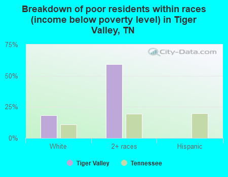 Breakdown of poor residents within races (income below poverty level) in Tiger Valley, TN