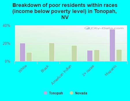 Breakdown of poor residents within races (income below poverty level) in Tonopah, NV