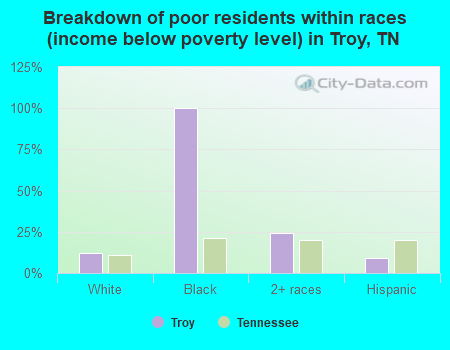 Breakdown of poor residents within races (income below poverty level) in Troy, TN