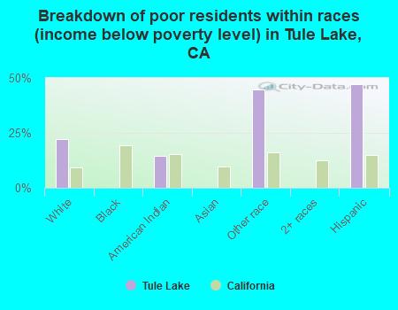 Breakdown of poor residents within races (income below poverty level) in Tule Lake, CA