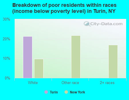 Breakdown of poor residents within races (income below poverty level) in Turin, NY