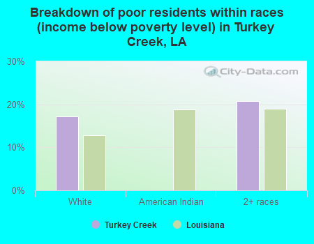 Breakdown of poor residents within races (income below poverty level) in Turkey Creek, LA