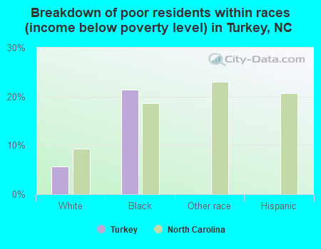Breakdown of poor residents within races (income below poverty level) in Turkey, NC