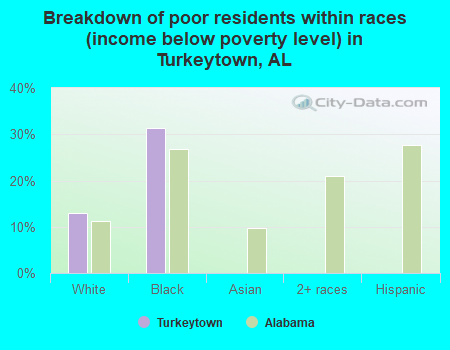 Breakdown of poor residents within races (income below poverty level) in Turkeytown, AL