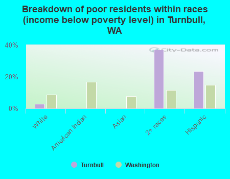 Breakdown of poor residents within races (income below poverty level) in Turnbull, WA