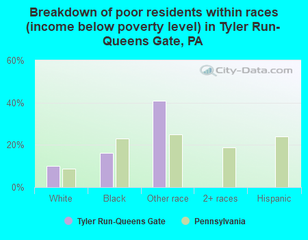 Breakdown of poor residents within races (income below poverty level) in Tyler Run-Queens Gate, PA