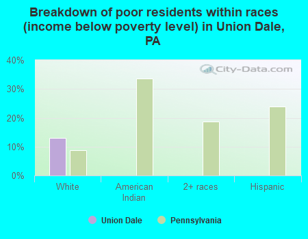 Breakdown of poor residents within races (income below poverty level) in Union Dale, PA